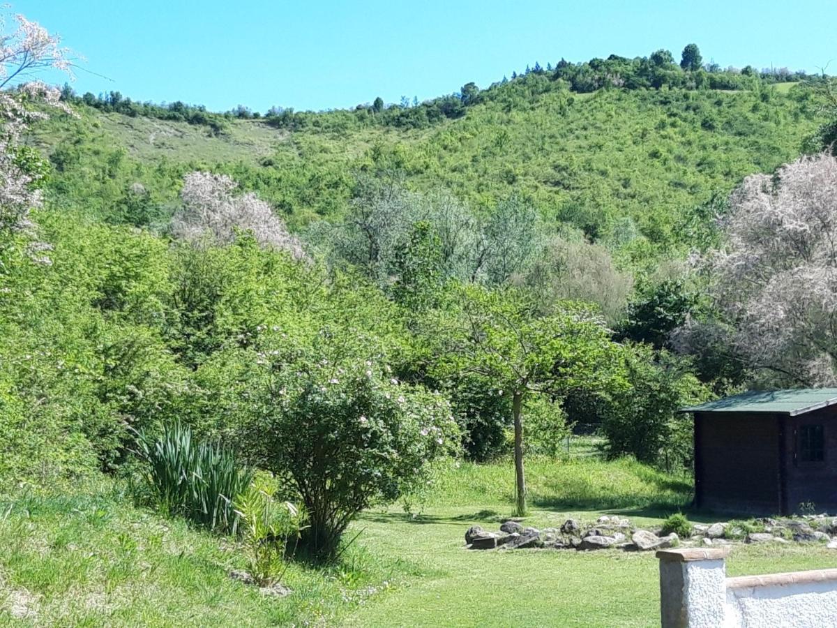 Bed and Breakfast Il Baiocchino Castel San Pietro Terme Zewnętrze zdjęcie